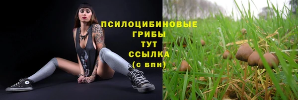 кокс Аркадак