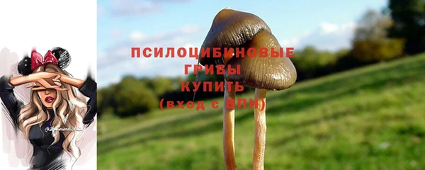 прущие крисы Саяногорск