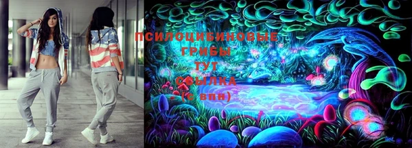 гидропоника Арсеньев