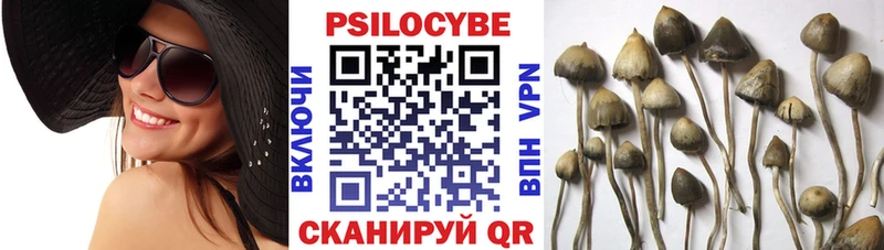 Галлюциногенные грибы мицелий  Калач-на-Дону 
